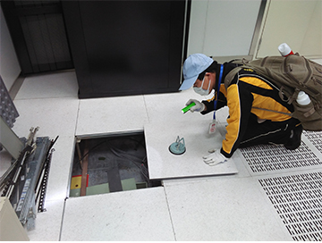 “四害”危害不可轻视!快来学习消灭“